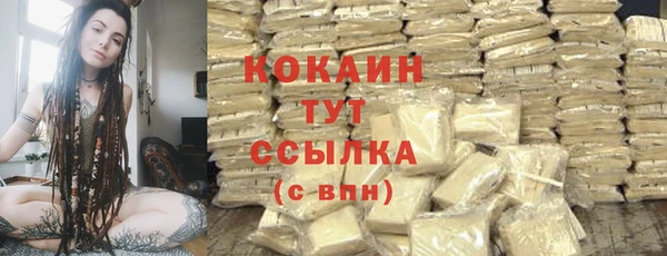ешки Арсеньев